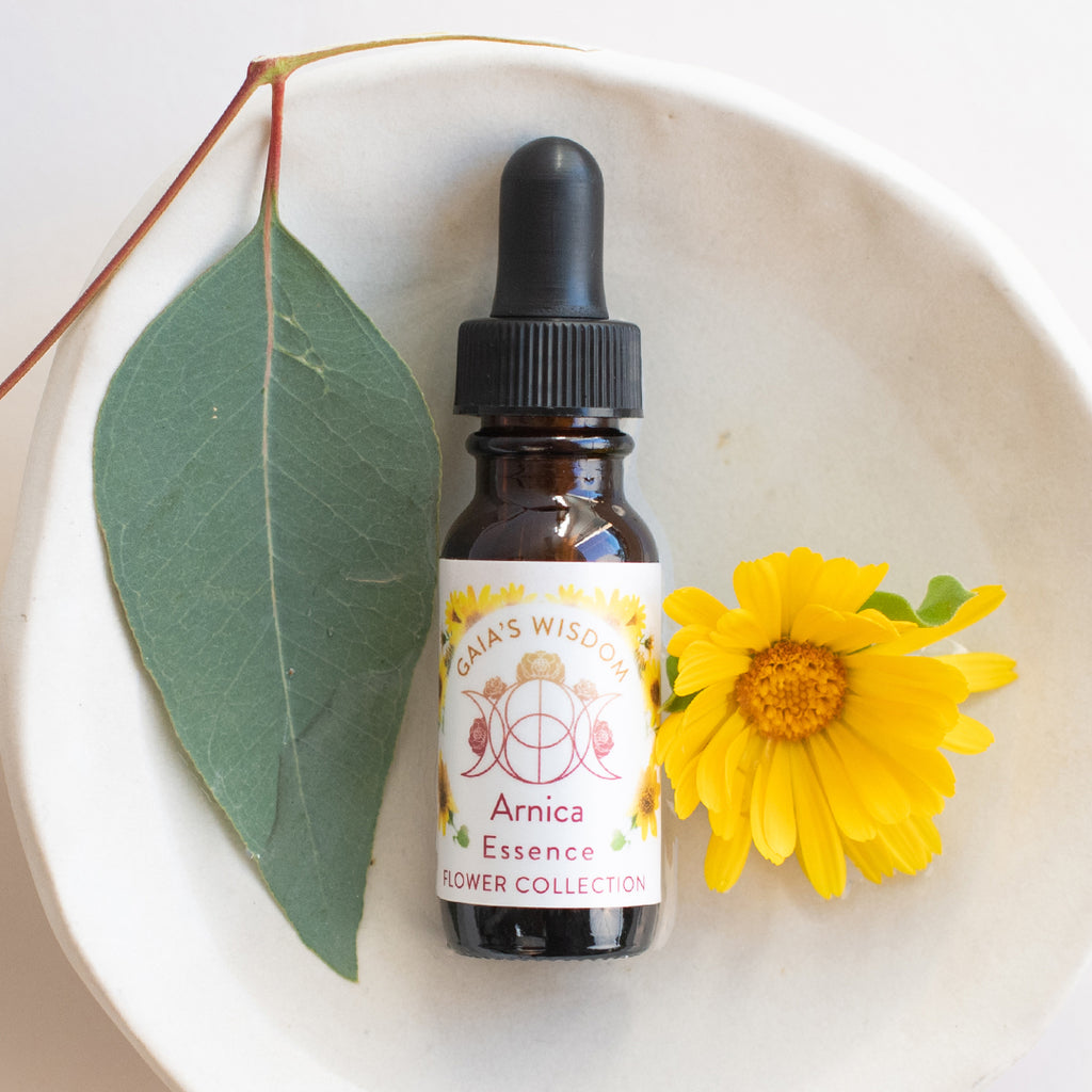 Arnica - Flower Collection