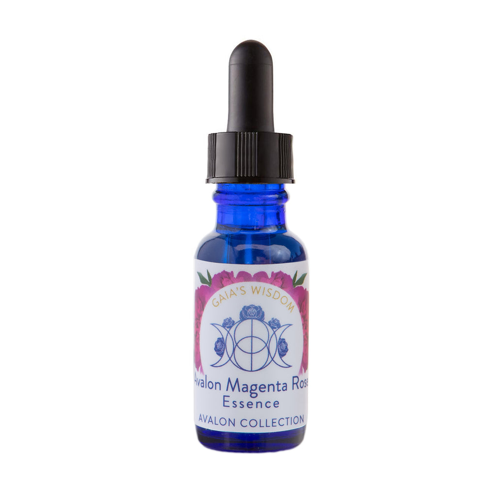 Avalon Magenta Rose - Avalon Collection
