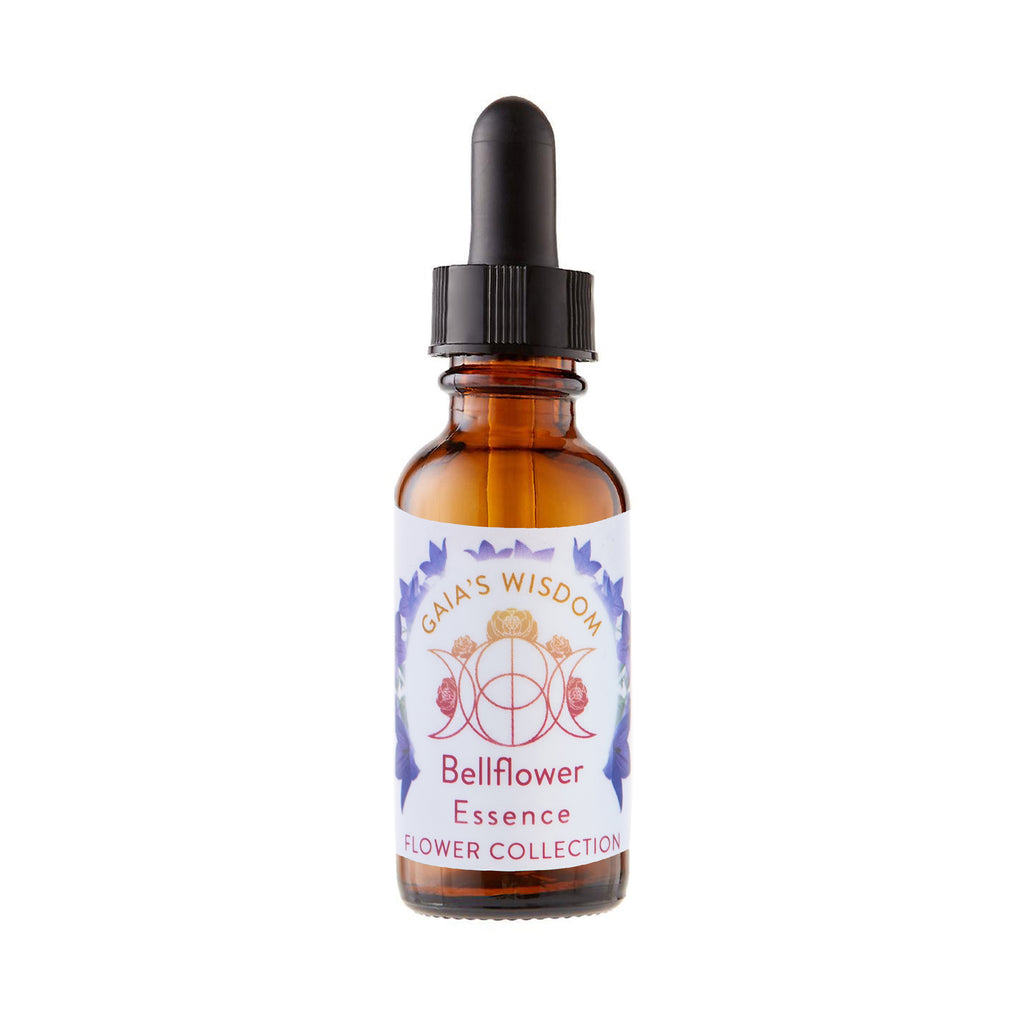Bellflower - Flower Collection