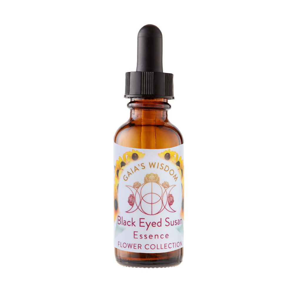 Black Eyed Susan - Flower Collection