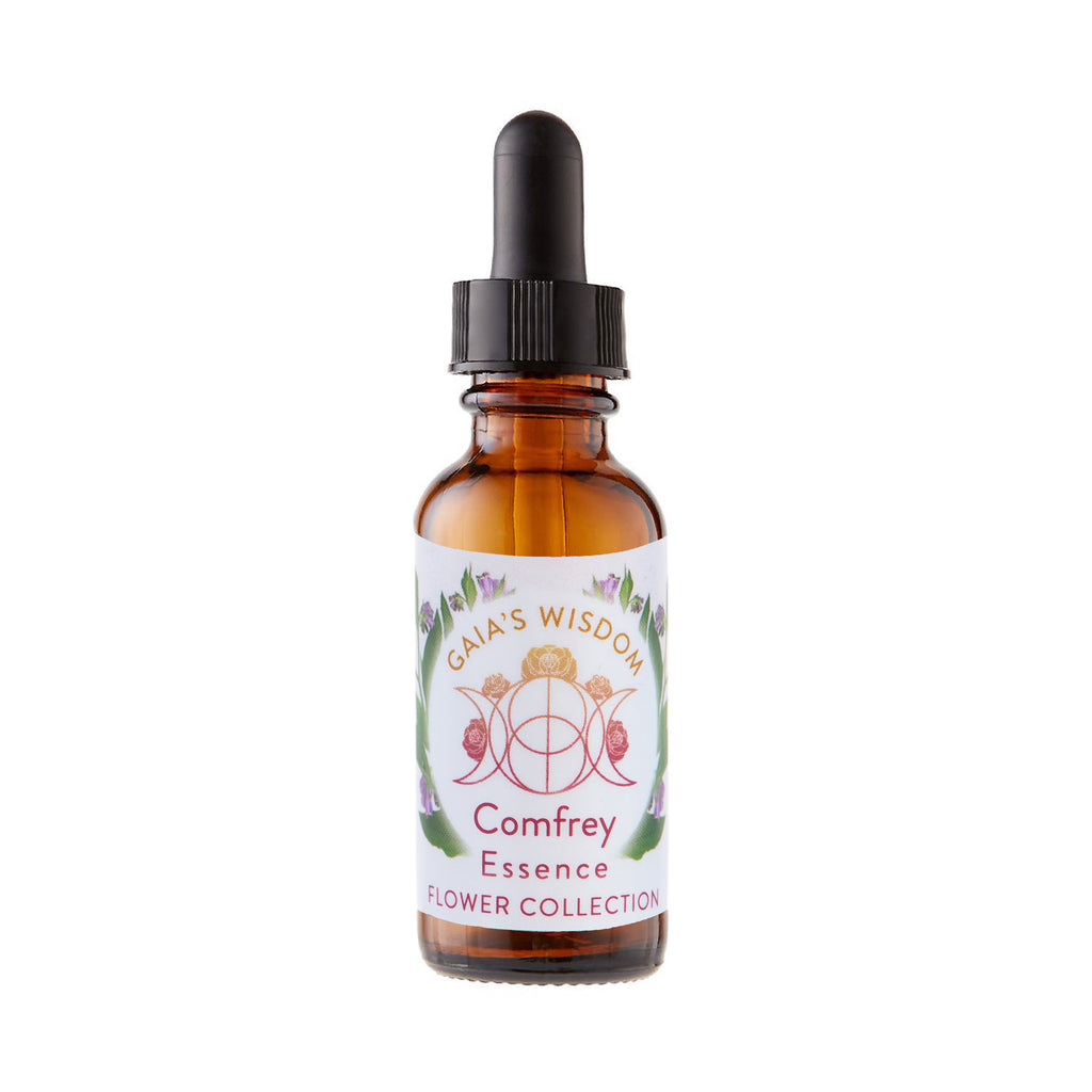 Comfrey - Flower Collection