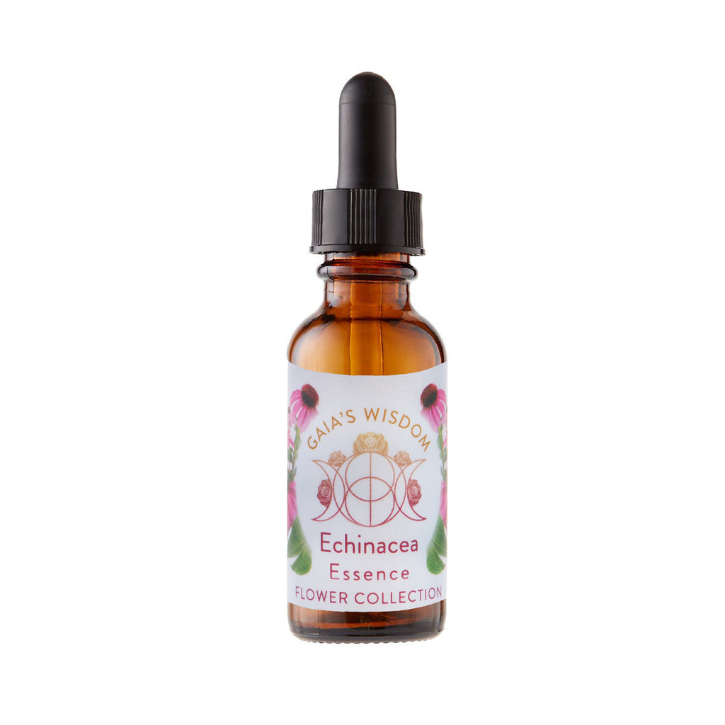 Echinacea - Flower Collection