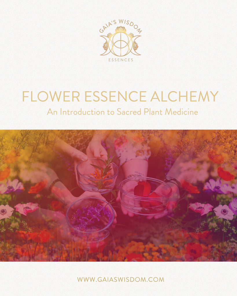 Flower Essence Alchemy : An Introduction to Sacred Plant Medicine