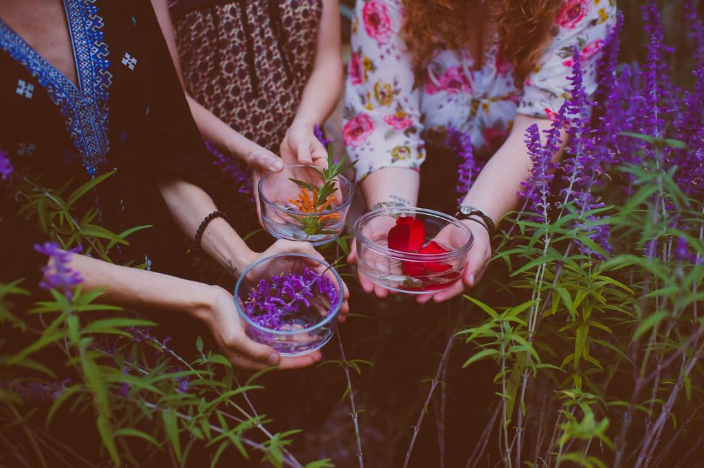 Flower Essence Alchemy : An Introduction to Sacred Plant Medicine