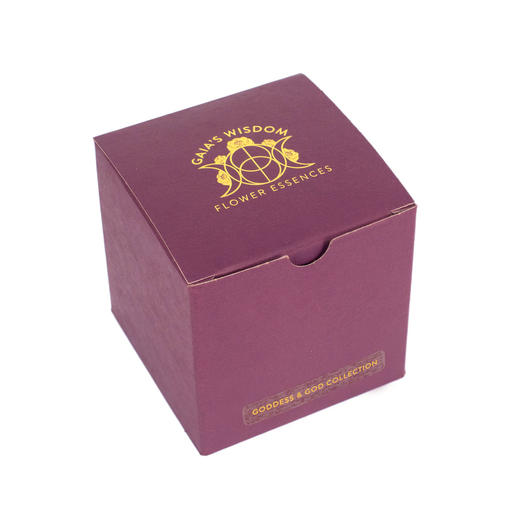 Goddess & God Collection Kit