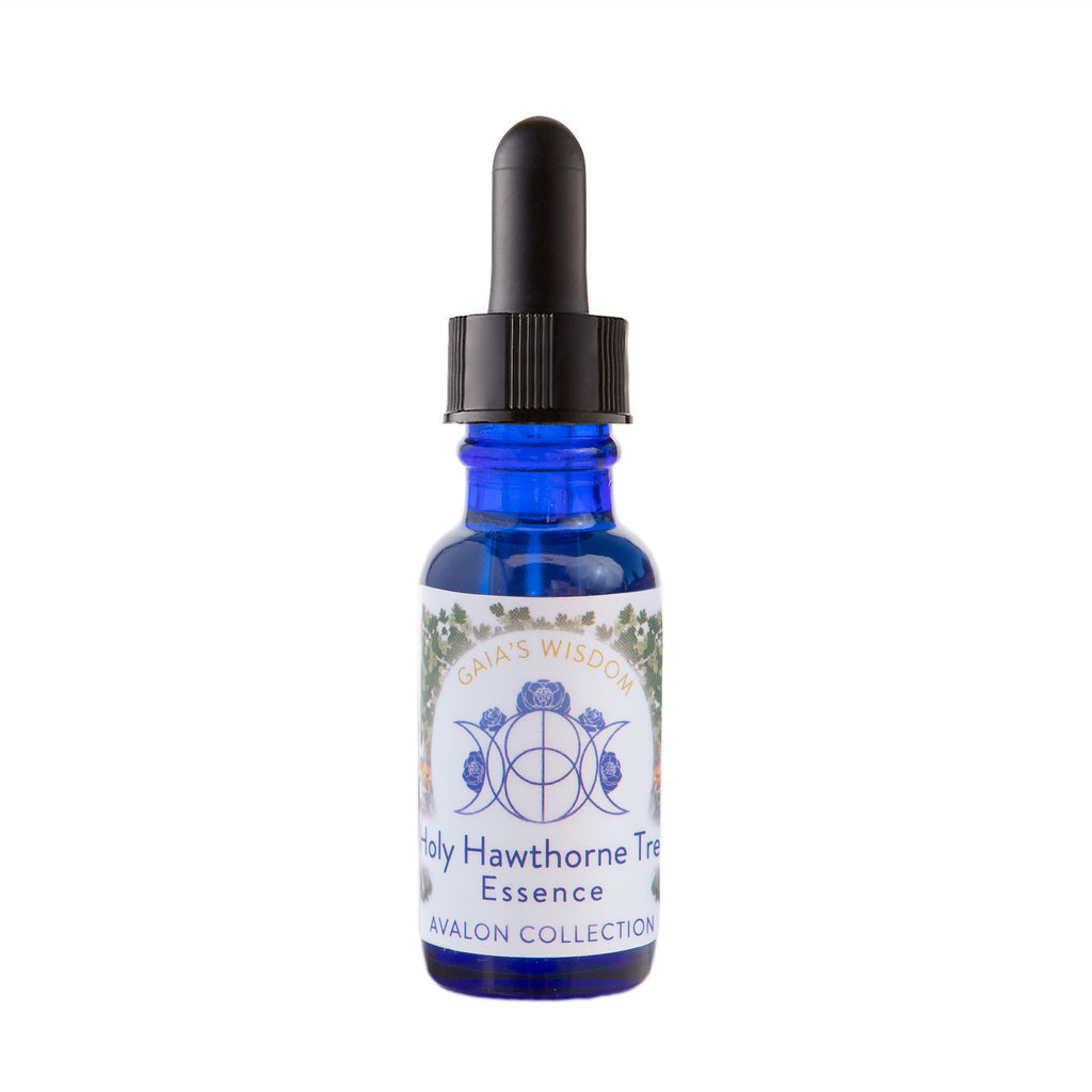 Holy Hawthorne - Avalon Collection