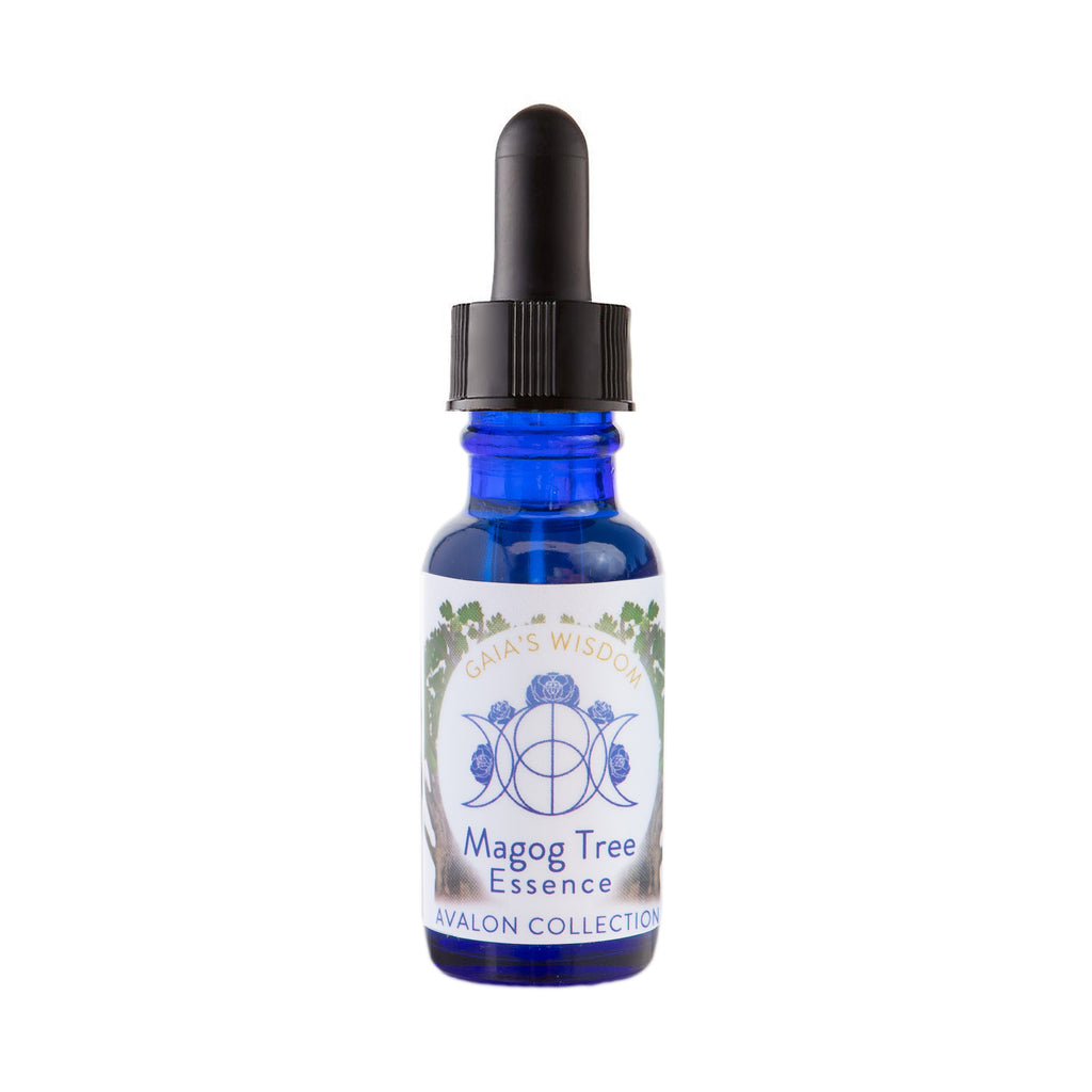 Magog Tree - Avalon Collection