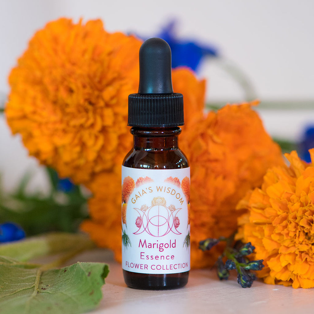 Marigold - Flower Collection