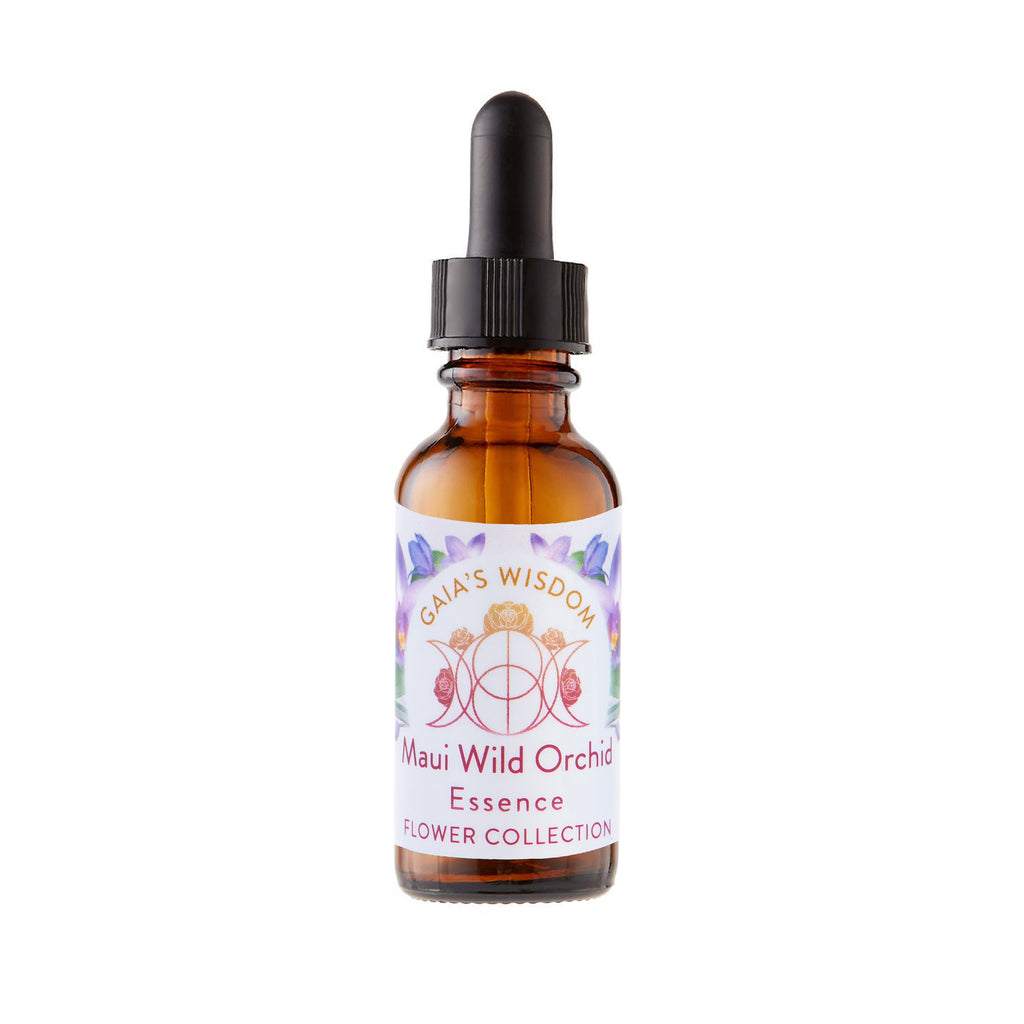 Maui Wild Orchid - Flower Collection
