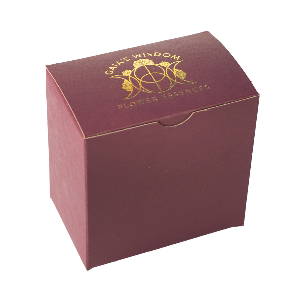 Moon Collection Kit