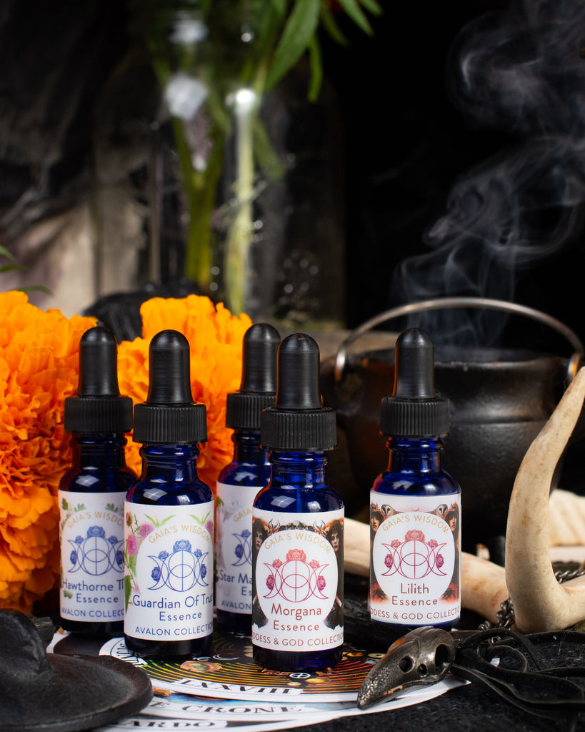 Samhain Collection Kit