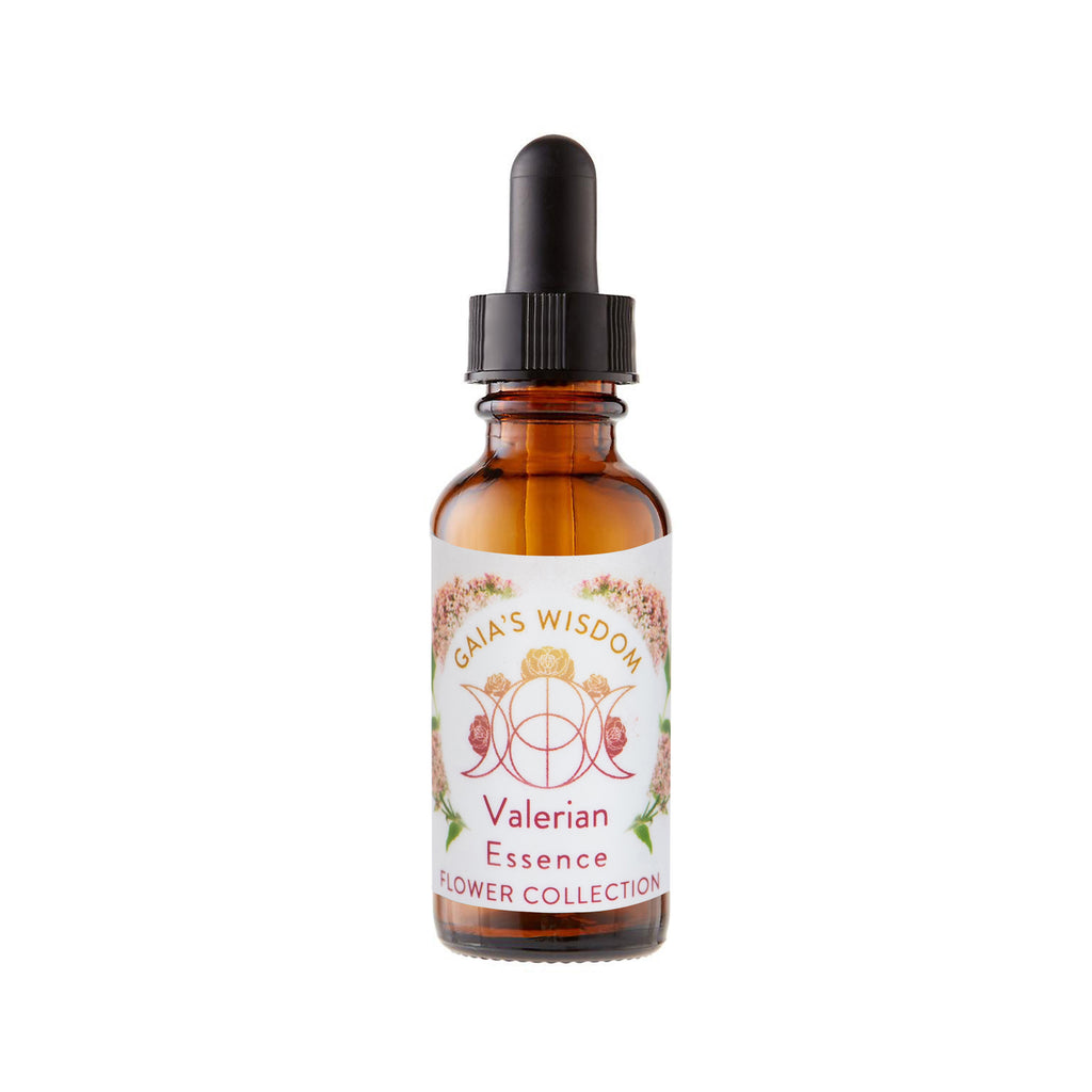 Valerian  - Flower Collection