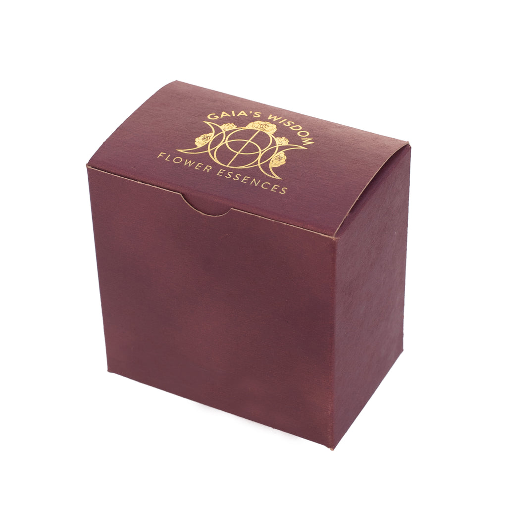 Venus Collection Kit