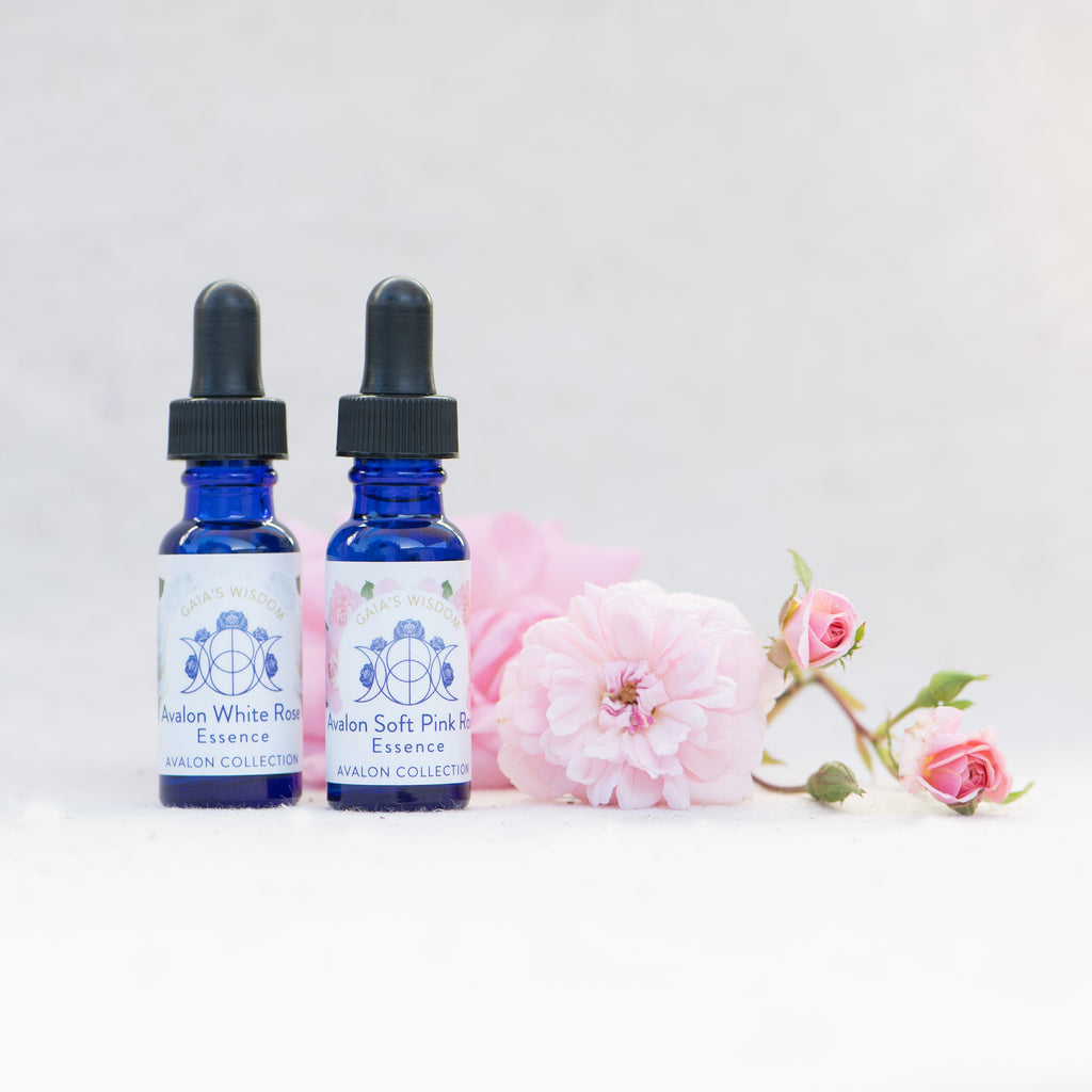 Venus Collection Kit