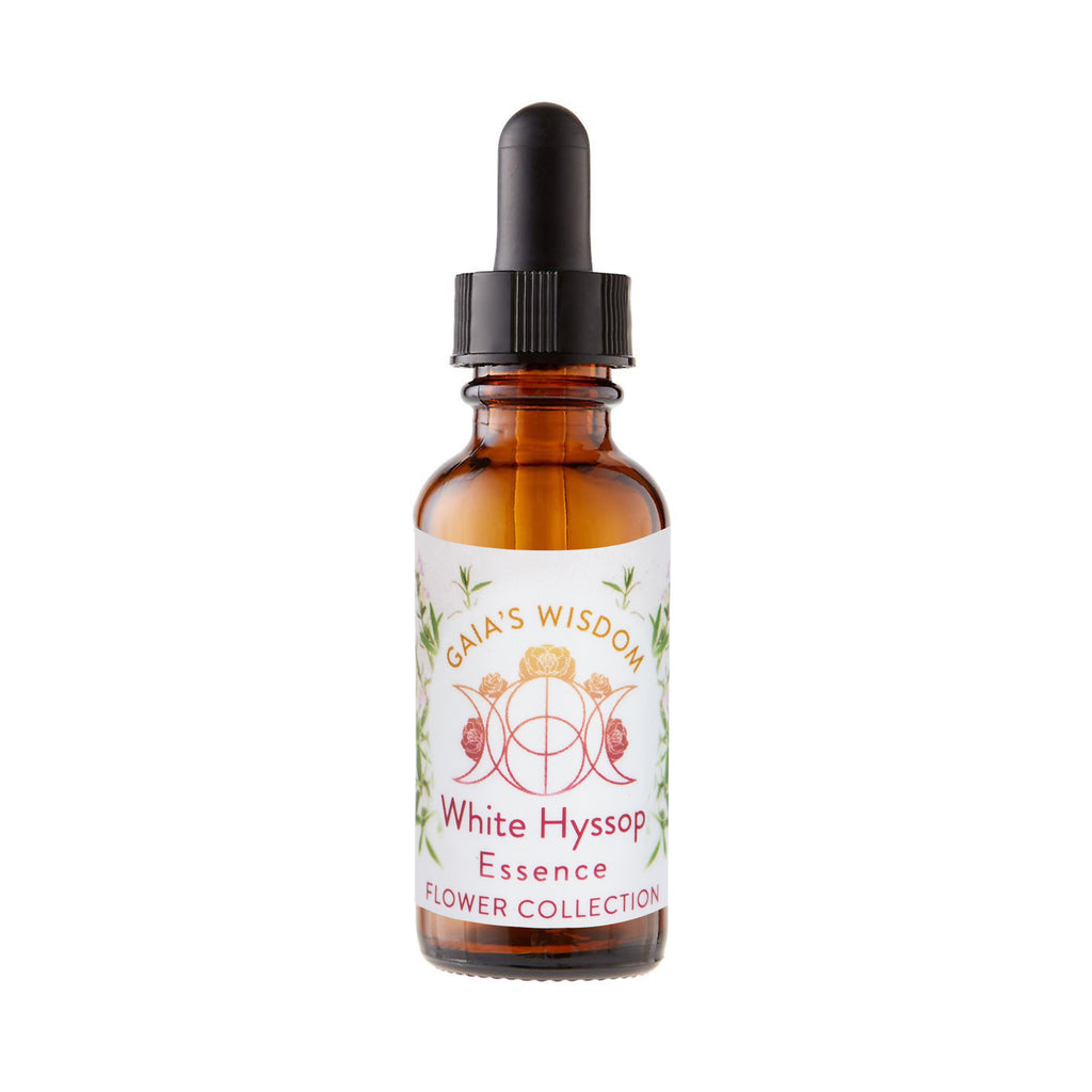 White Hyssop  - Flower Collection