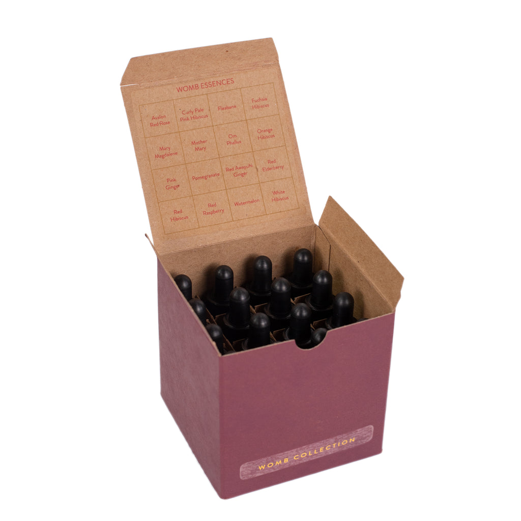 Womb Collection Kit