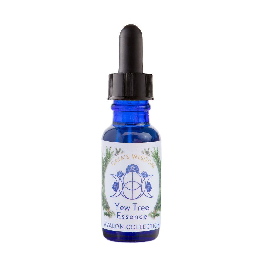 Yew Tree - Avalon Collection