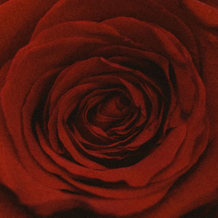 Red Spring - Temple Of The Red Rose