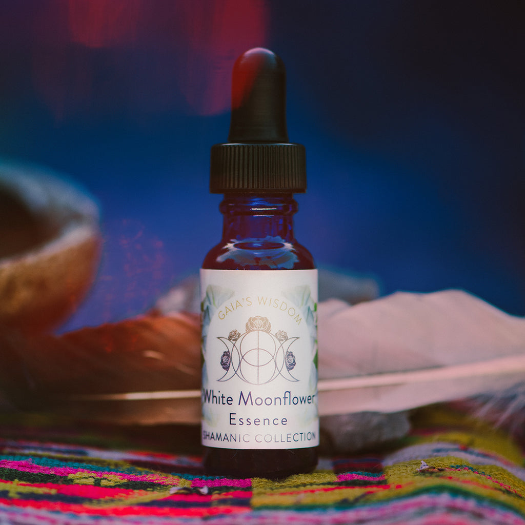 White Moonflower - Shamanic Collection